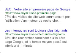 Référencement google